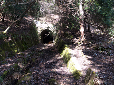 20120320_6